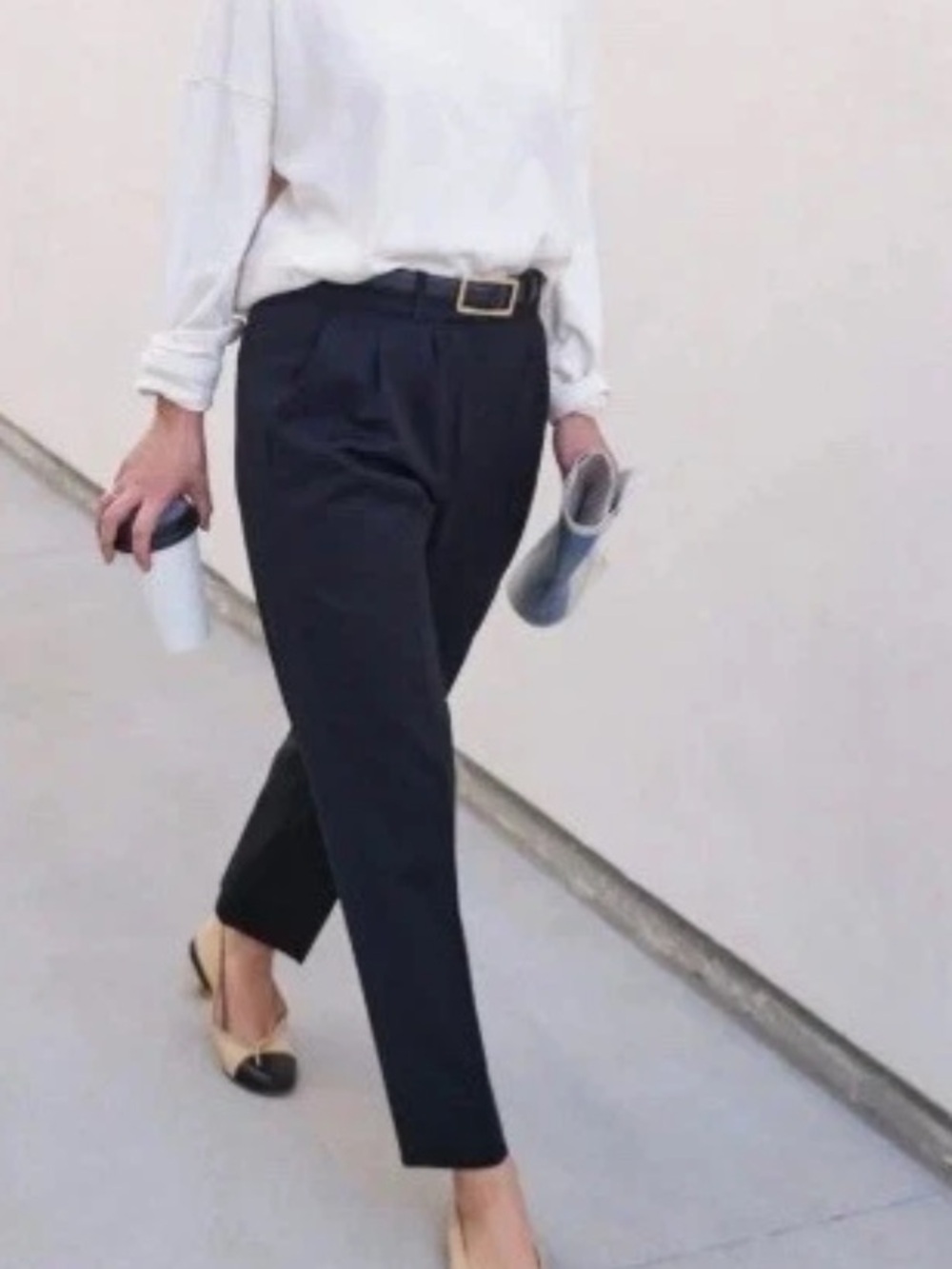 AYR Metropolitan Pleated Wool Pants